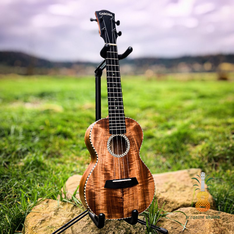 koncertowe ukulele z litej akacji sklep przyjazne ukulele profesjonalne instrumenty